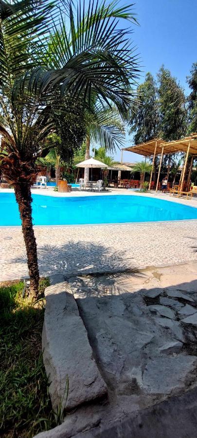 La Colpa Hotel Chincha Baja Eksteriør billede